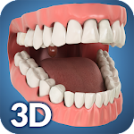 Download Dental Anatomy Pro. 2.2 Apk for android