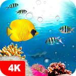 Download Fish Wallpapers 4K 5.6.15 Apk for android