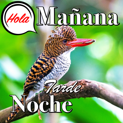 Download Buenos dias a la noche amor 9.10.08.9 Apk for android