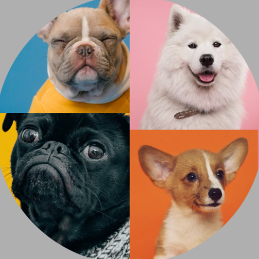 Download Dog Breeds: Quiz 1.2.5 Apk for android Apk