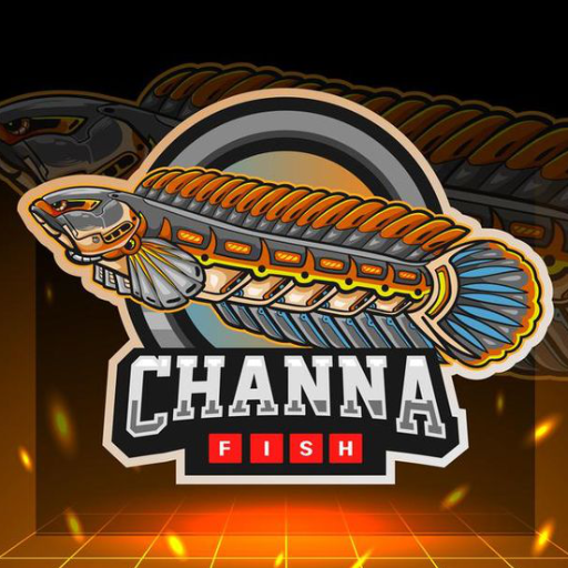 Download Ikan Channa Wallpaper 1.1.2 Apk for android Apk