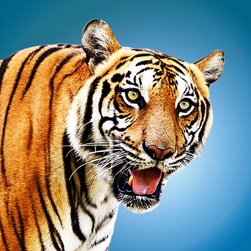 Download Wild Tiger Hunting Animal Life 1.1 Apk for android Apk