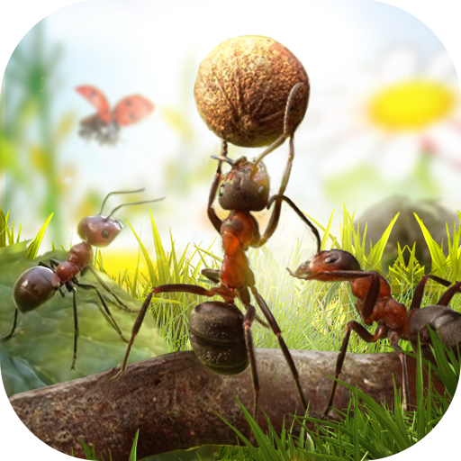 Download Ants Kingdom 1.0.0 Apk for android