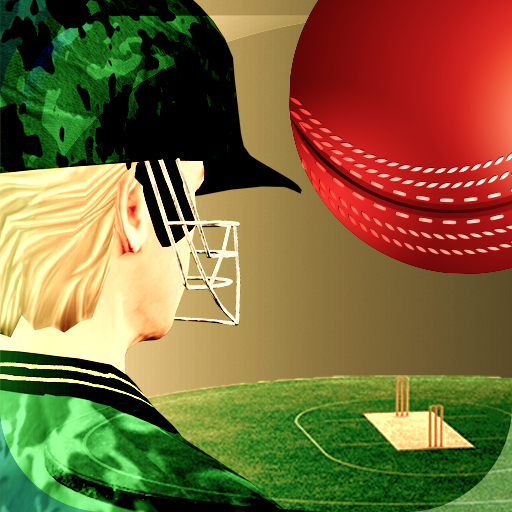 Download Cricket Fly - Sports Game v1.0.3 Apk for android