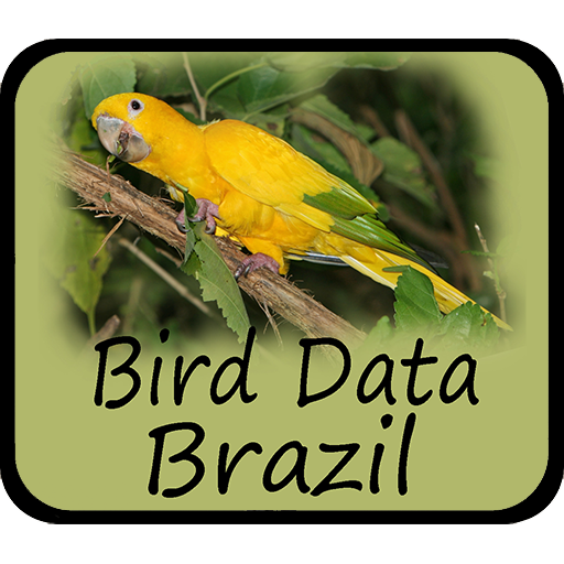 Download Bird Data - Brazil Bird Data - Brazil 1280 Apk for android Apk