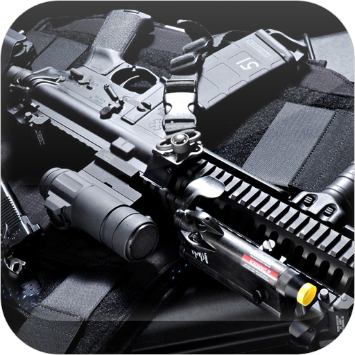 Download Délires Gun 1.3 Apk for android