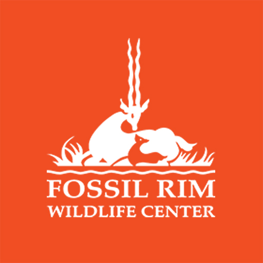 Download Fossil Rim 8.1 Apk for android