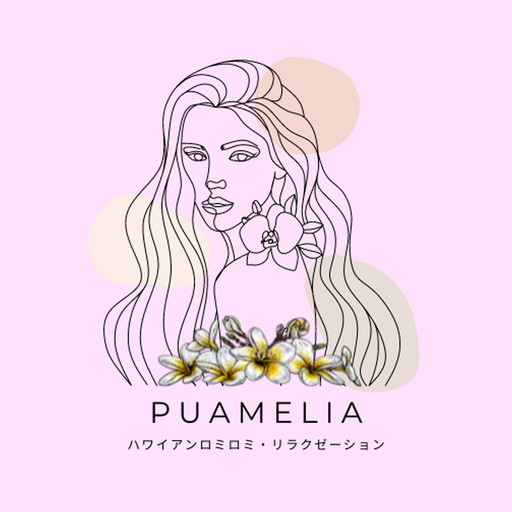 Download PUAMELIA 4.8.0 Apk for android