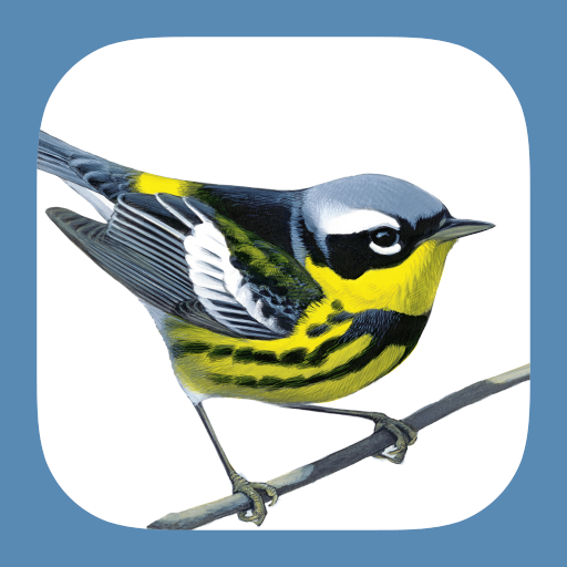 Download Sibley Birds 2nd Edition 1.1.4 Apk for android