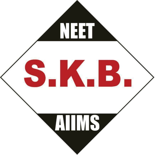 Download SKB 1.4.71.1 Apk for android