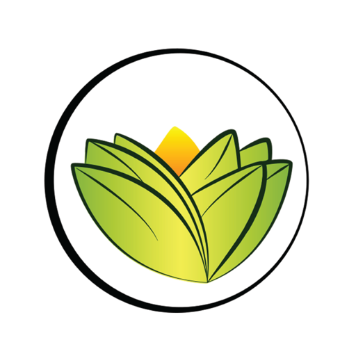 Download The Ayurveda Experience DE 1.7 Apk for android