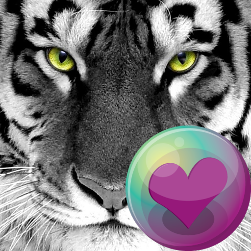 Download Big Cats HD Wallpapers 2.1.17 Apk for android