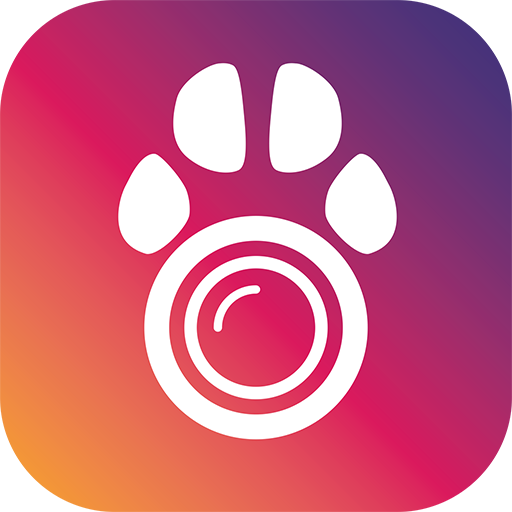 Download PetCam - Caméra pour animal 3.0.642 Apk for android