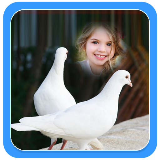 Download Couple Birds Photo Frames 1.0.1 Apk for android