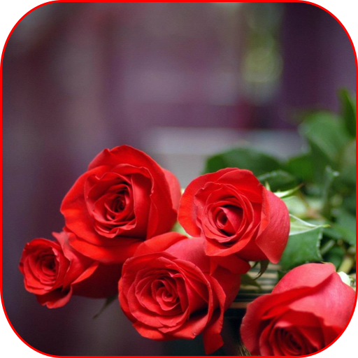 Download Flowers Stickers for WASticker 1.0 Apk for android