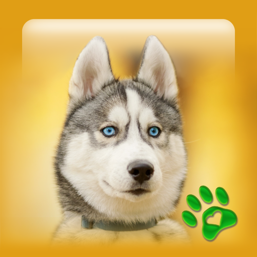 Download Fonds d'écran de chiots mignon 1.7.1 Apk for android