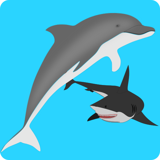 Download Dolphin Adventure 1.04.25 Apk for android Apk