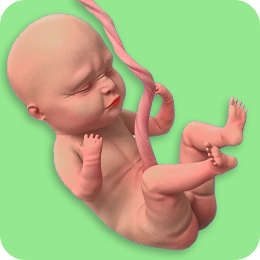 Download Mom Pregnancy Games: Mom Care 0.4 Apk for android Apk