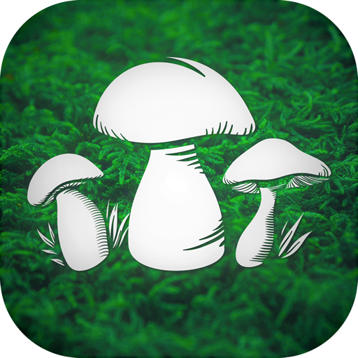 Download Real Mushroom Hunting Simulato 1.9 Apk for android Apk