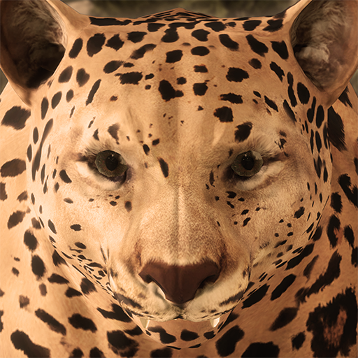 Download Ultimate Leopard Simulator 1.3 Apk for android Apk