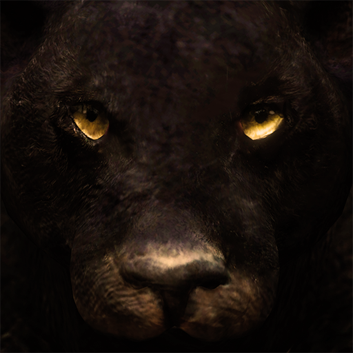 Download Ultimate Panther Simulator 1.3 Apk for android Apk