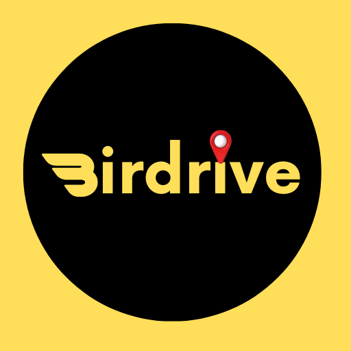 Download Birdrive 1.3 Apk for android