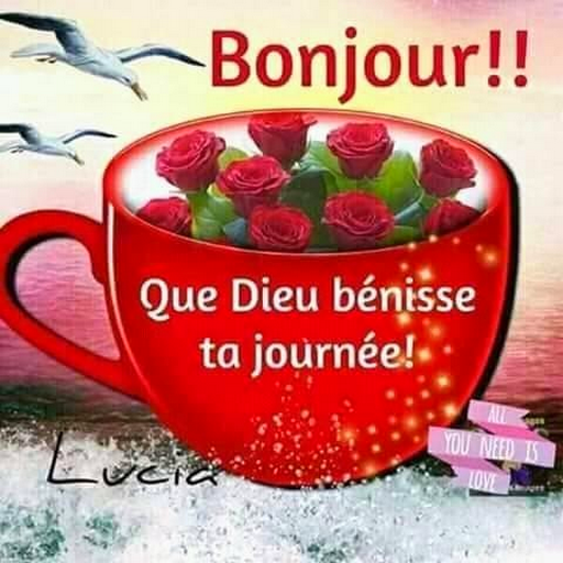 Download Bonjour Bonsoir Bonne Nuit 30.00 Apk for android