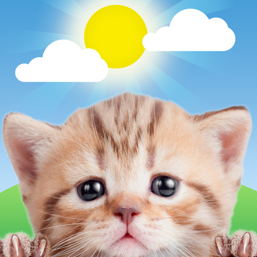 Download Weather Kitty 6.0.1 Apk for android