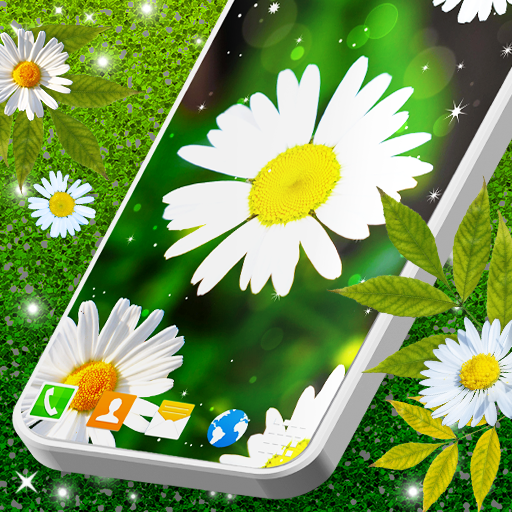 Download 3D Daisy Spring Live Wallpaper 6.9.70 Apk for android