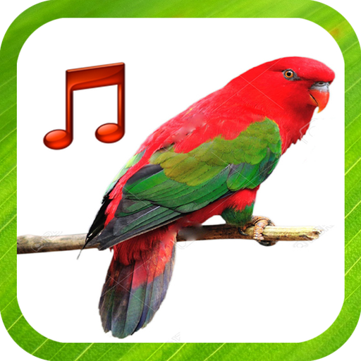 Download Bird Sounds Ringtones 1.0 Apk for android